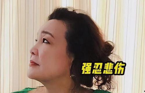 孟贺最新爆料消息视频大全,揭秘事件真相与幕后黑幕  第1张